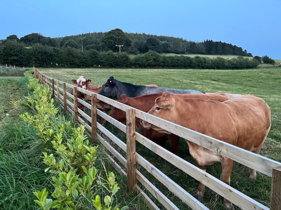 ת'ירסק Foxhall Farm מראה חיצוני תמונה